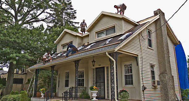 Best Gutter Installation and Roofing  in Albany, LA