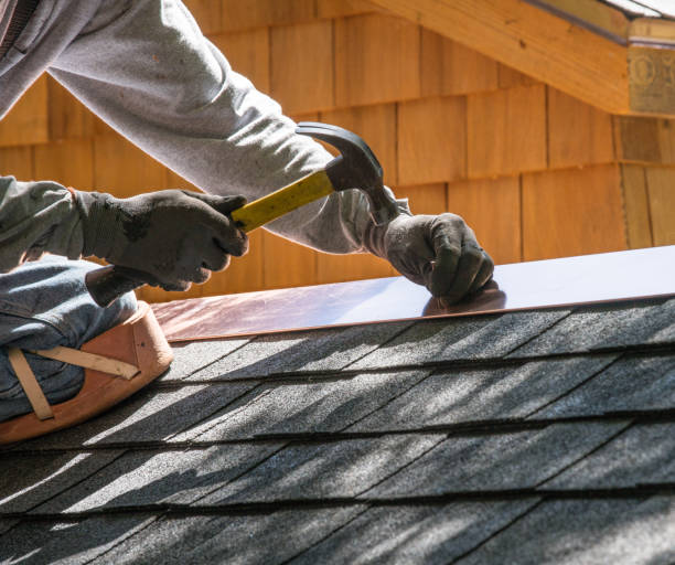 Best Roof Gutter Cleaning  in Albany, LA